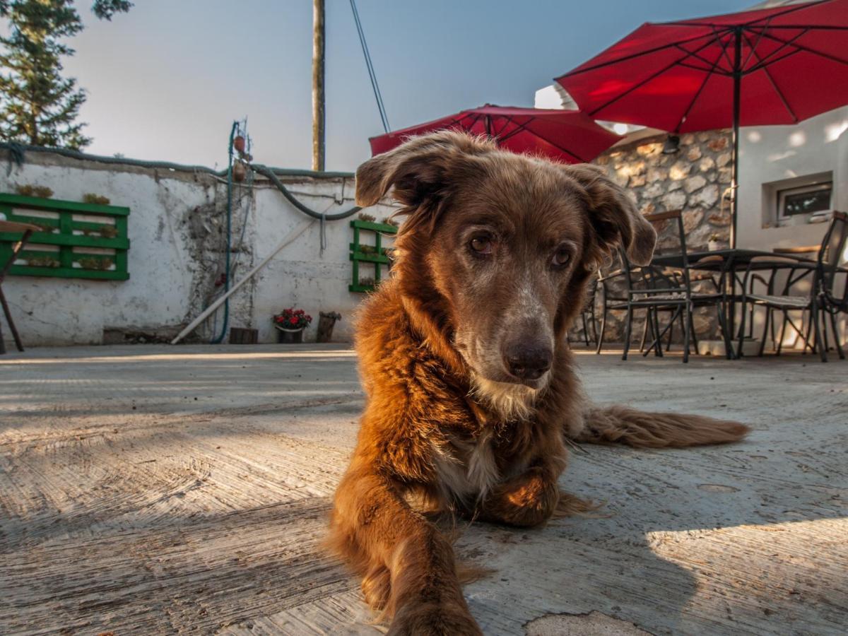 Silba Otium Otel Dış mekan fotoğraf